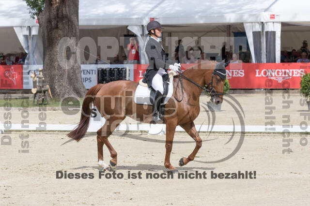 FEI European Championship Eventing 2017