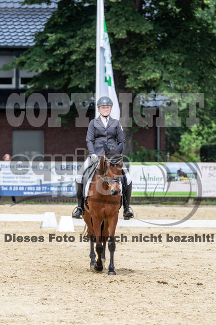 Goldene Schärpe 2021 - Ponys