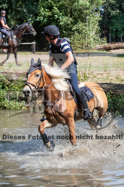 Hunter Geländetraining (16.08.2020)