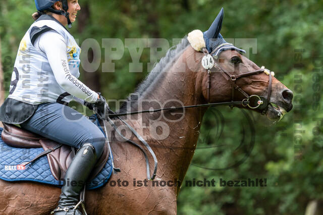 Vielseitigkeit RSV Wesel Obrighoven (26.+27.09.2020)