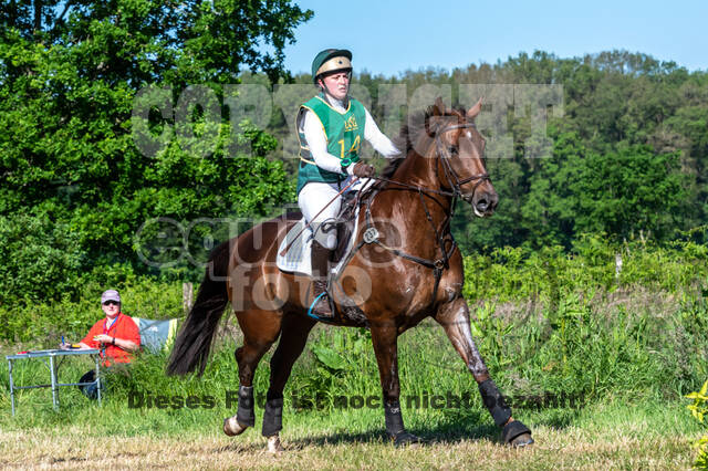 Westerstede Horse Trials (10.-13.06.2021)