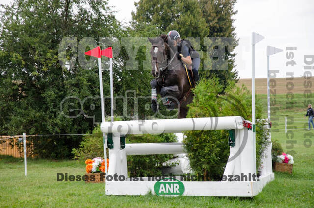 FEI European Championship