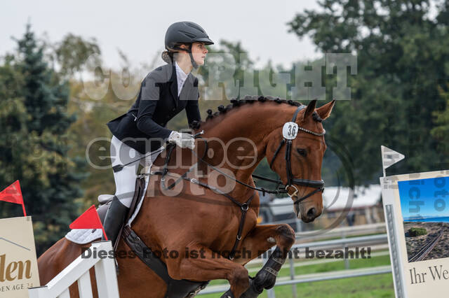 Reiter Schleswig-Holstein