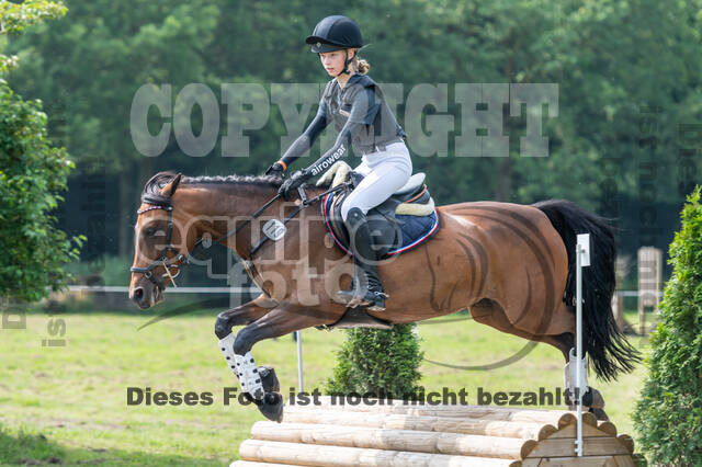 Goldene Schärpe 2021 - Ponys