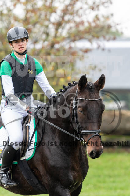 Goldene Schärpe 2020 - Pferde