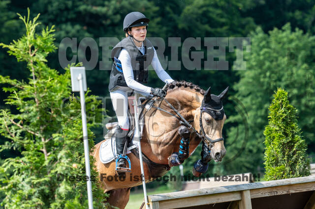 Goldene Schärpe 2021 - Ponys