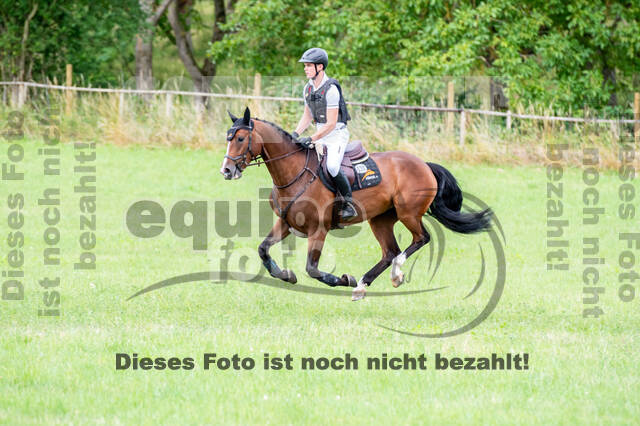 Bonn-Rodderberg Late-Entry-Vielseitigkeit (30.06.2020)
