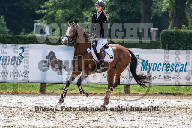 Goldene Schärpe 2021 - Ponys