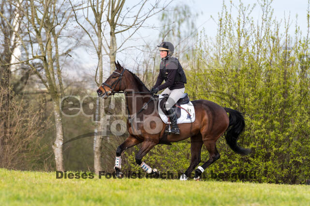 Sara Algotsson Ostholt , Cracks Chica VO