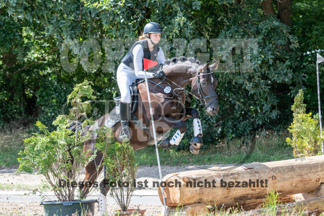 Late-Entry-Vielseitigkeit Langenfeld (06.+07.07.2020)