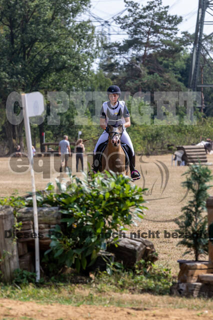 Late-Entry Vielseitigkeit Hamminkeln/Wesel (01.+02.08.2020)