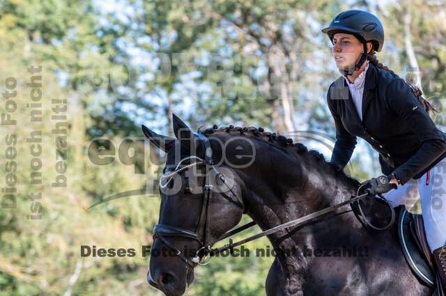 RFV Dinslaken-Hiesfeld (Herbstturnier)