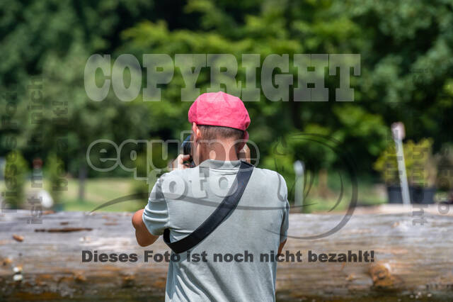 Goldene Schärpe 2021 - Ponys