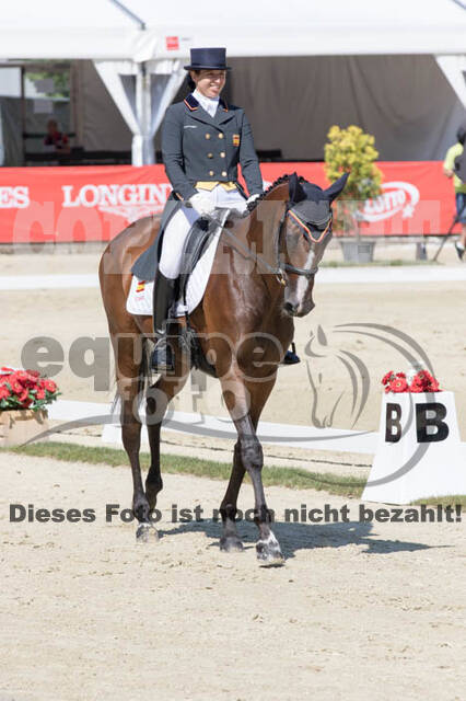 FEI European Championship Eventing 2017