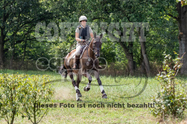 Late-Entry-Vielseitigkeit Gahlen (18.07.2020)