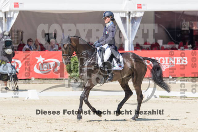FEI European Championship