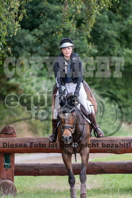 Late-Entry-Vielseitigkeit Langenfeld (11.+13./14.06.2020)