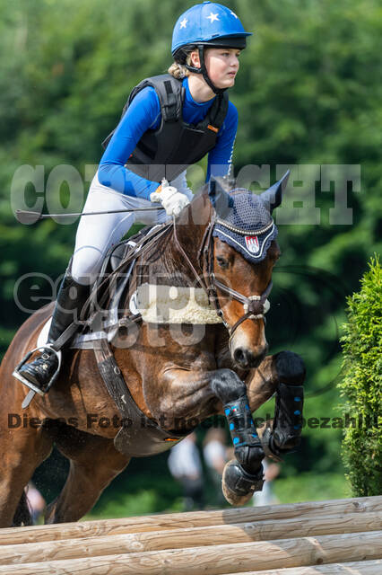 Goldene Schärpe 2021 - Ponys