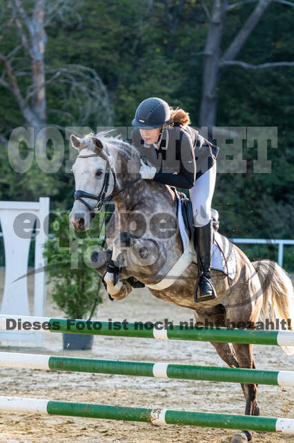 RFV Dinslaken-Hiesfeld (Herbstturnier)
