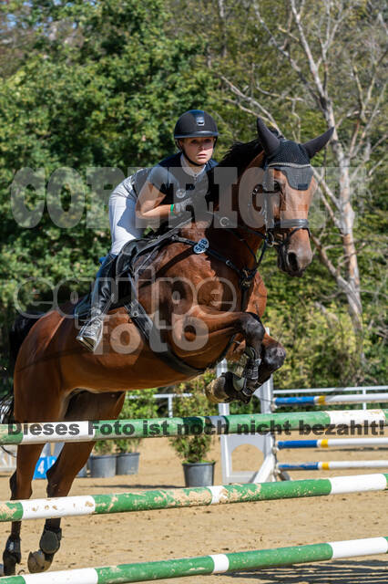 RFV Dinslaken-Hiesfeld (Herbstturnier)
