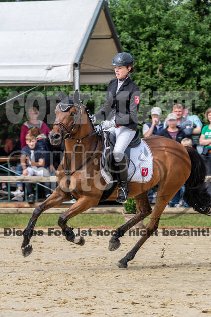 Goldene Schärpe 2021 - Ponys
