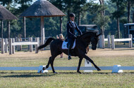 Kronenberg - De Peelbergen (August 2020)