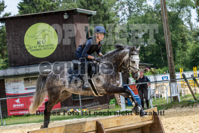 Hunter Geländetraining 10.07.2021 (Sonsbeck)