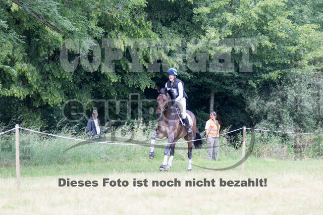 Wiesbadener Pfingstturnier (Vielseitigkeit)