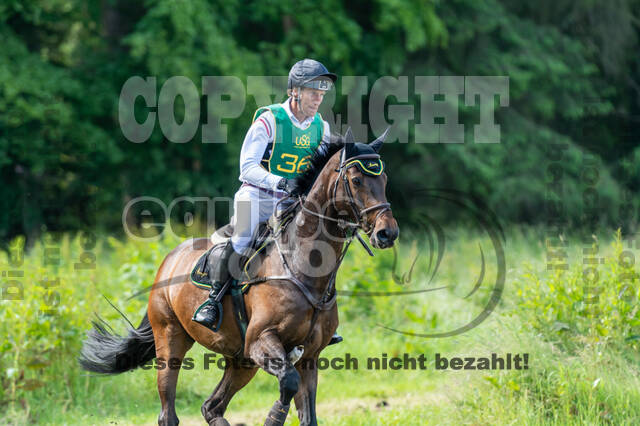 Westerstede Horse Trials (10.-13.06.2021)
