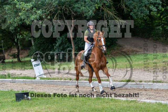 Late-Entry-Vielseitigkeit Langenfeld (11.+13./14.06.2020)