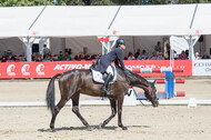 FEI European Championship