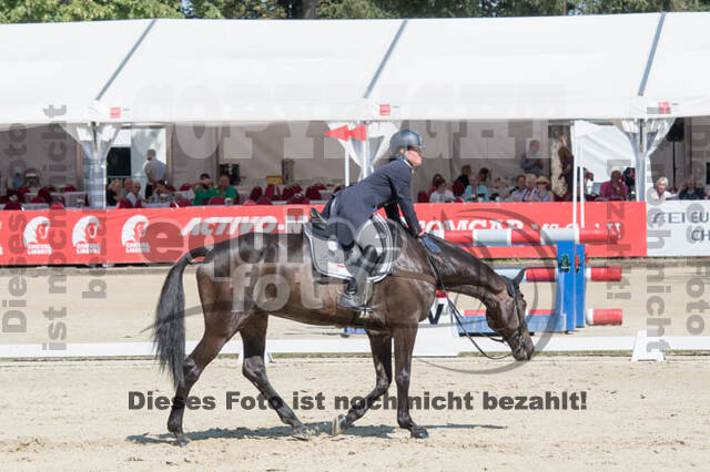 FEI European Championship