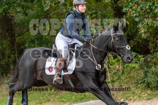 Goldene Schärpe 2020 - Pferde