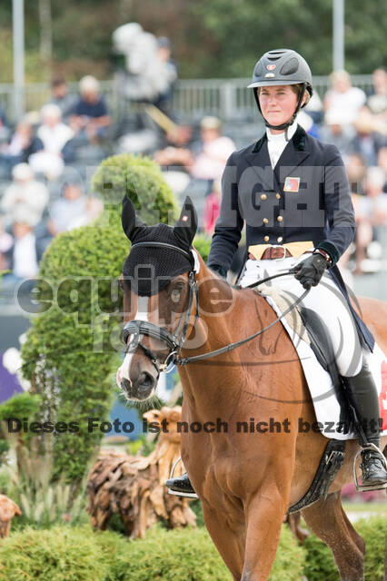 FEI European Championship Eventing 2019