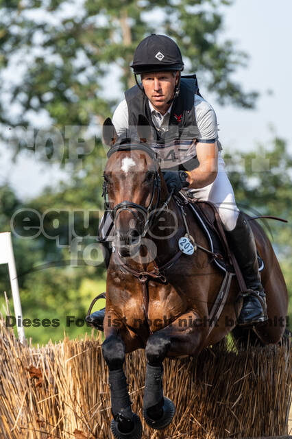 De Peelbergen (August 2020)