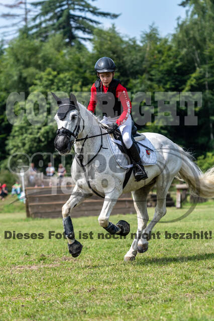 Goldene Schärpe 2021 - Ponys