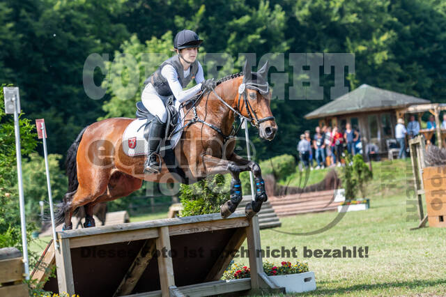 Goldene Schärpe 2021 - Ponys