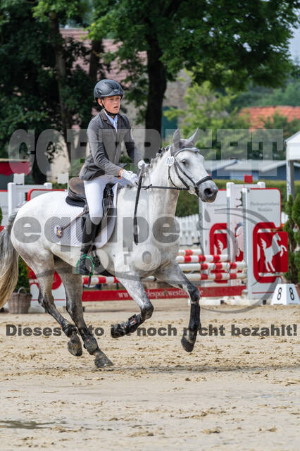Goldene Schärpe 2021 - Ponys