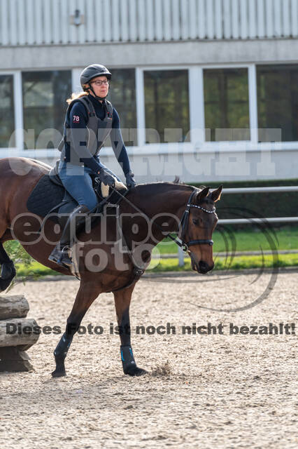 IGV Lehrgang der Sieger der Cups mit Frank Ostholt