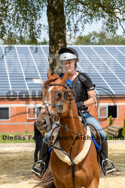 Hunter Geländetraining 10.07.2021 (Sonsbeck)