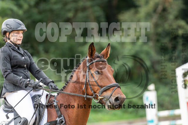 Vielseitigkeit RSV Wesel Obrighoven (26.+27.09.2020)