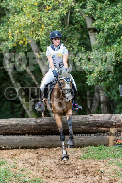 Vielseitigkeit RSV Wesel Obrighoven (26.+27.09.2020)