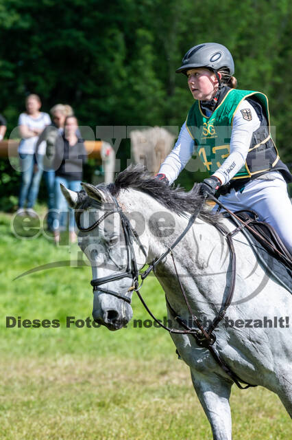 Westerstede Horse Trials (10.-13.06.2021)