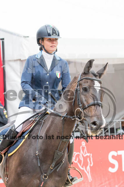 FEI European Championship