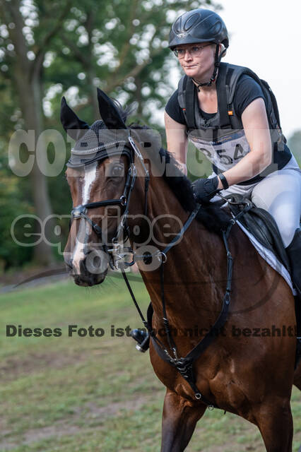 De Peelbergen (August 2020)