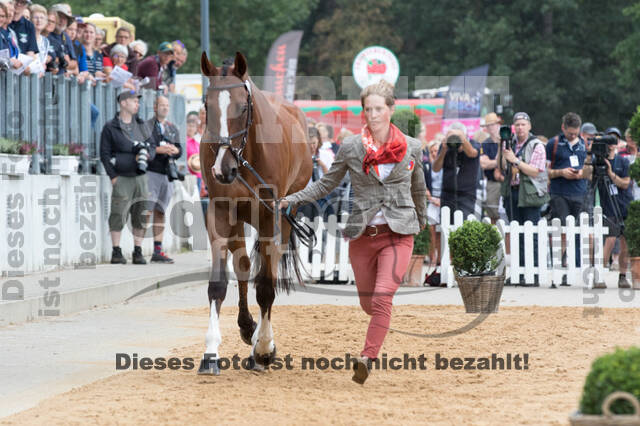 FEI European Championship Eventing 2019