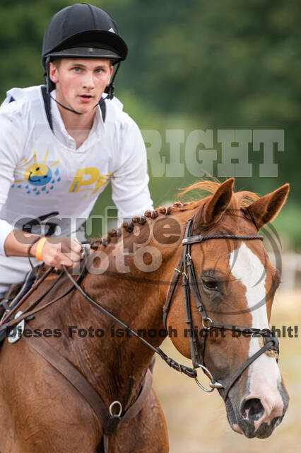 Late-Entry Vielseitigkeit Hamminkeln/Wesel (01.+02.08.2020)