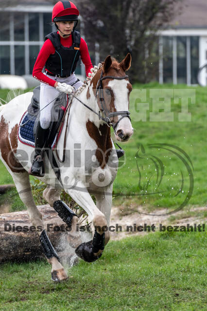 Goldene Schärpe 2020 - Pferde