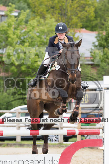 Sterne über Münster 2019 - CCI***S