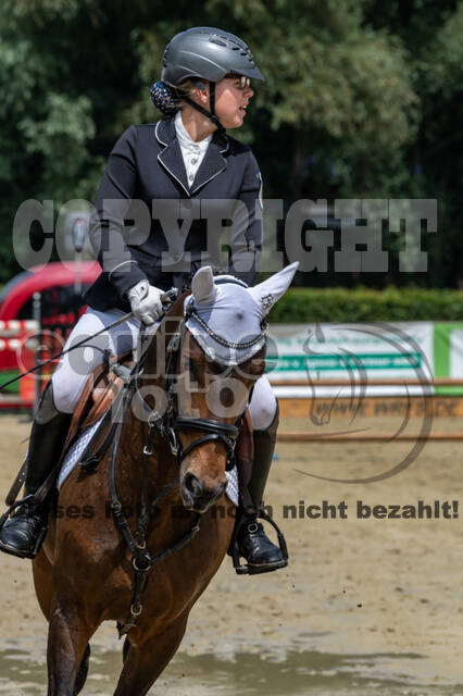 Goldene Schärpe 2021 - Ponys